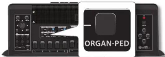 KORG Fisa Suprema - MÉMO - 1