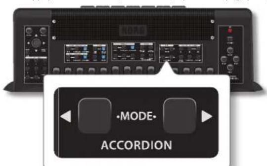 KORG Fisa Suprema - CONSEILS - 1