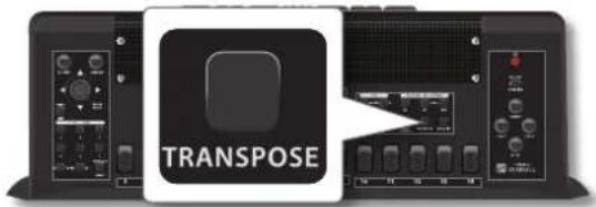 KORG Fisa Suprema - Appuyez sur le bouton [TRANSPOSE]. - 1