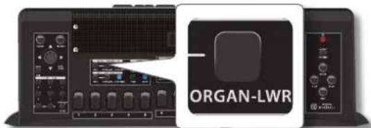 KORG Fisa Suprema - MÉMO - 1