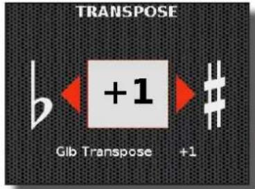 KORG Fisa Suprema - Paramètre de transposition globale - 1