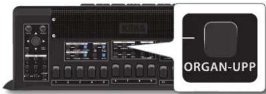 KORG Fisa Suprema - MÉMO - 1