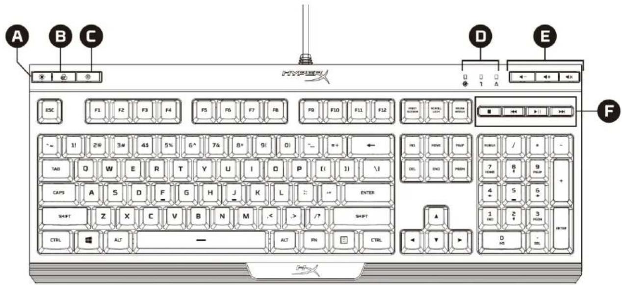 HP HyperX Alloy Core RGB - 鍵盤概覽： - 1