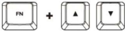 HP HyperX Alloy Core RGB - Installation der Tastatur: - 7