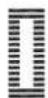 MEDION LIFE SD36 - Stitch programmes - 38