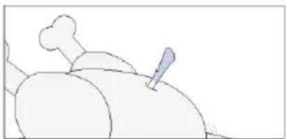 HAIER H6 ID46G5YTB - Cum să vă înscrieți și să utilizați Preci Probe: - 1