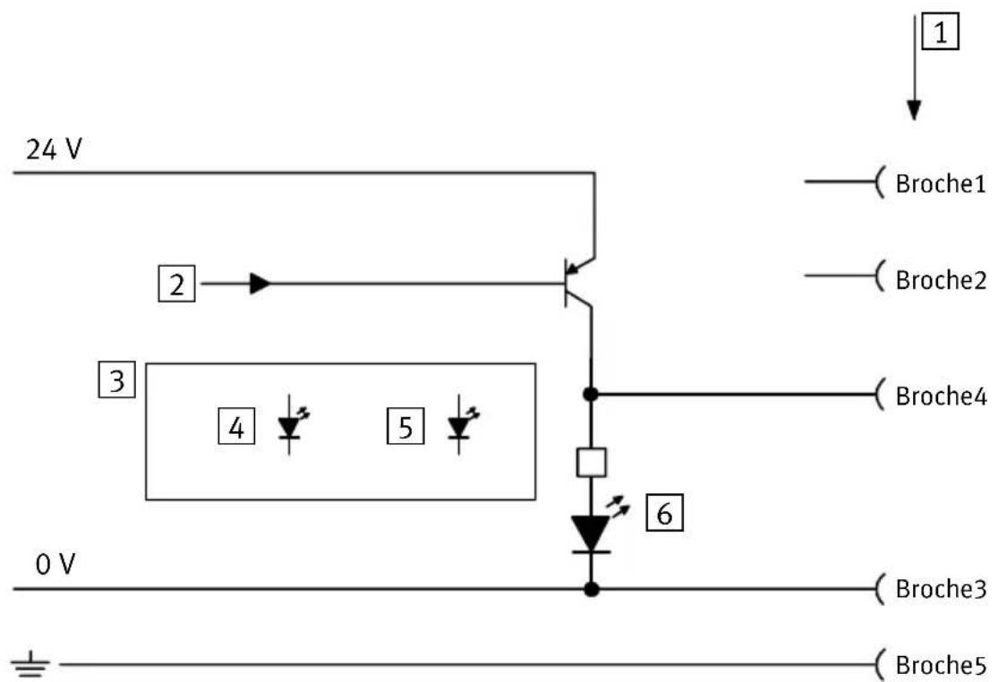 Festo P.BE-CPEA-CL-DE - A.3.1 Structure interne du type CP-A04-M12-CL et CP-A08-M12-EL-Z - 1