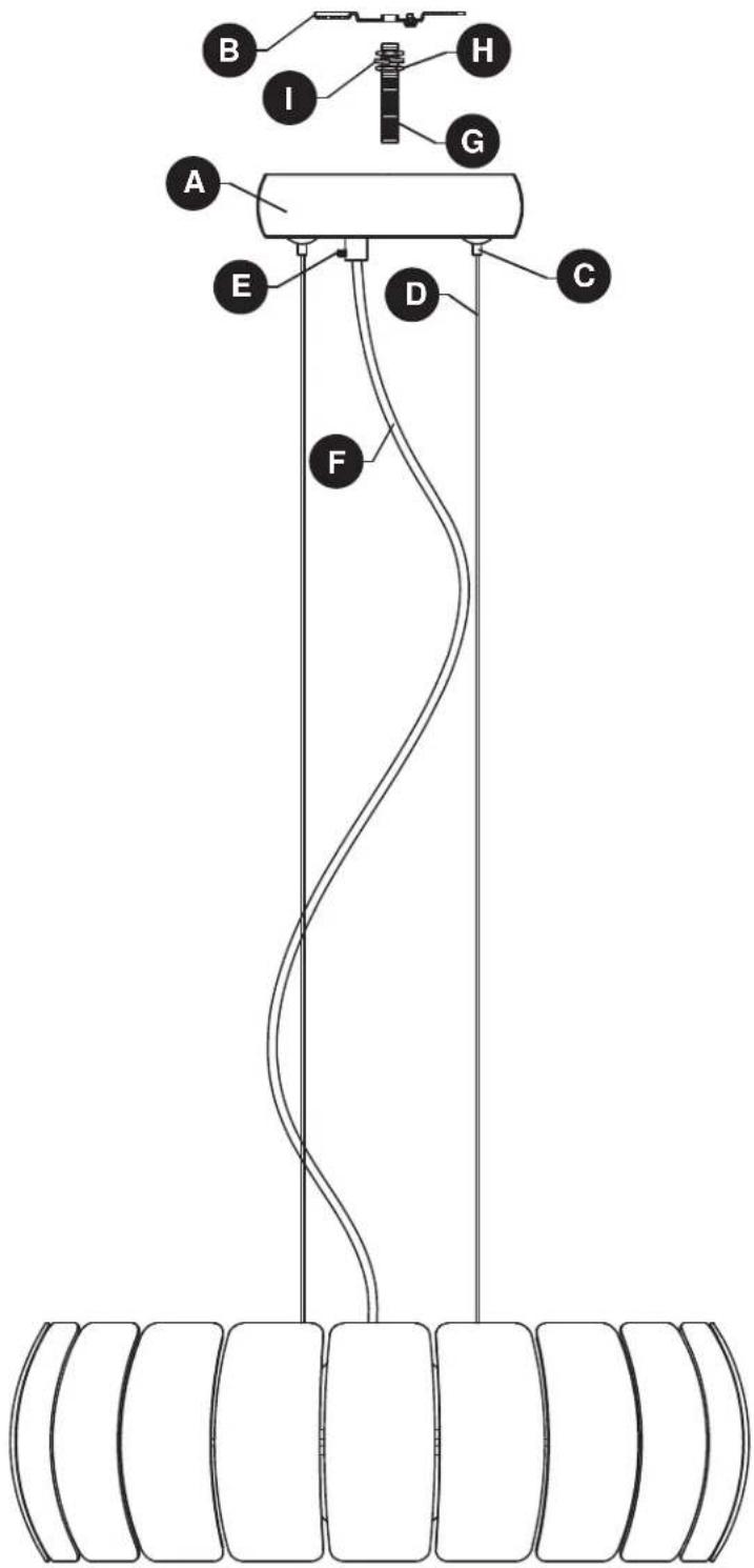 ELAN Osk 83765 - 3