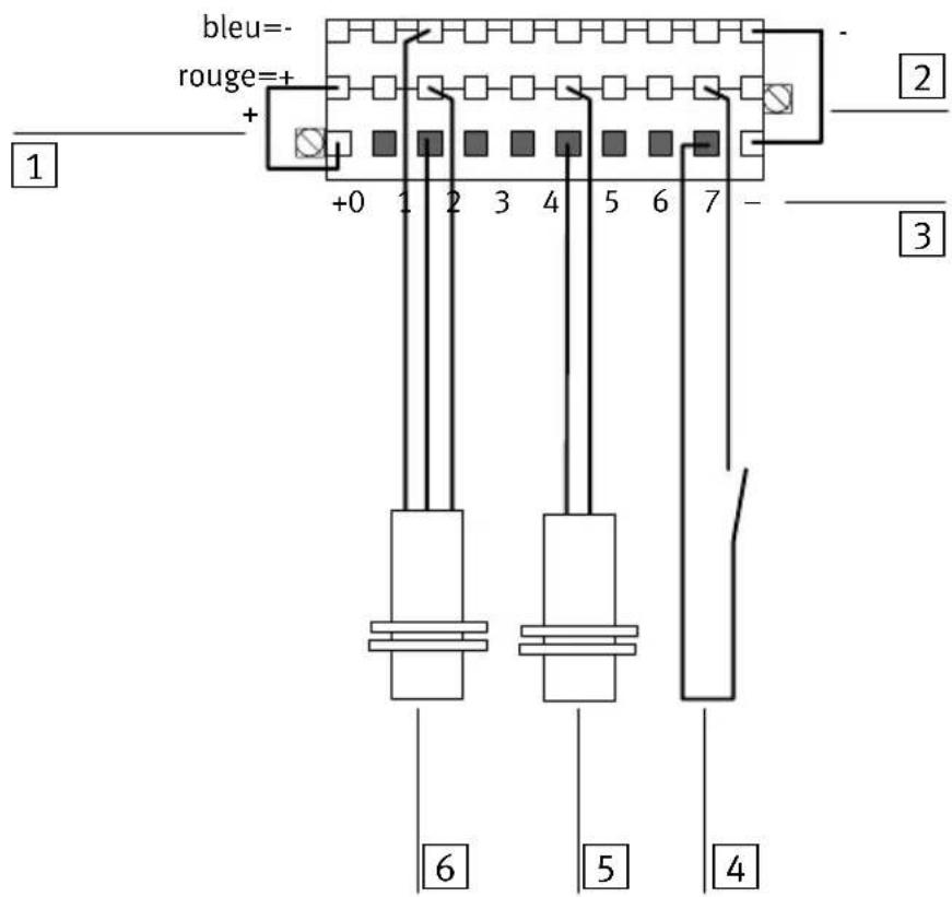 Festo P.BE-CPEA-CL - Exemple de câblage du type CP-E16-KL-CL - 1