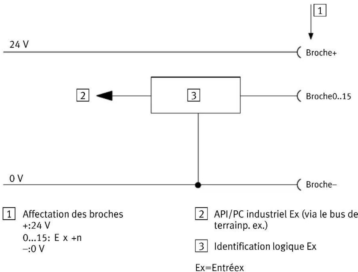 Festo P.BE-CPEA-CL - A.2.4 Structure interne du type CP-E16-KL-CL - 1
