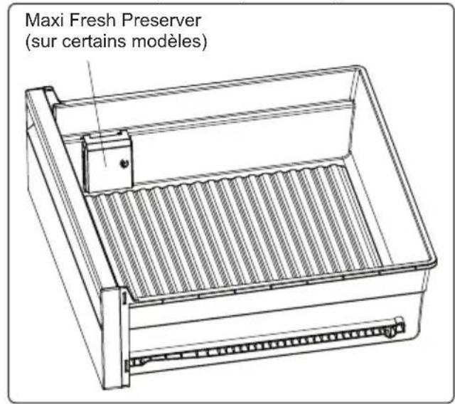TEKA RBF 78725 GBK - Maxi Fresh Preserver - 2