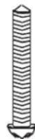 ELAN Rockne 83774 - 13