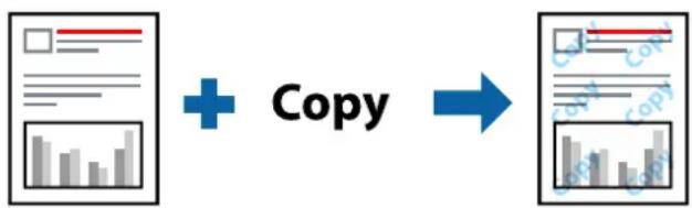 EPSON WorkForce Pro EM-C800R - Impression d'un motif anticopie - 1