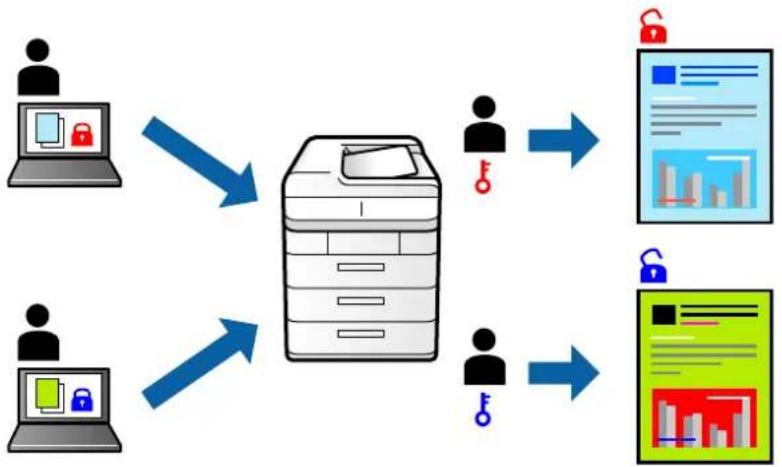EPSON WorkForce Pro EM-C800R - Impression de travaux protégés par mot de passe - 1