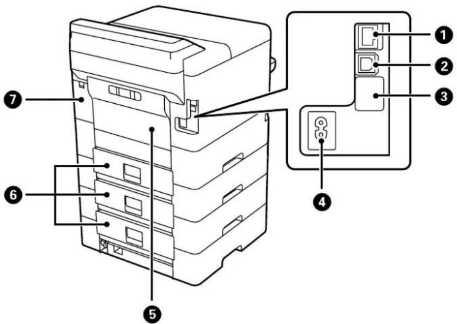 EPSON WorkForce Pro EP-C800R - Arrière - 1