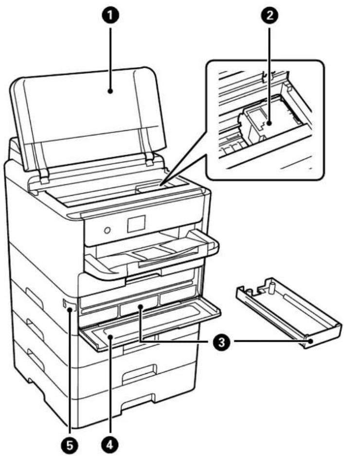 EPSON WorkForce Pro EP-C800R - À l'intérieur - 1