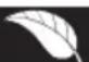 VEDETTE VT16524Q - ENVIRONNEMENT - 1