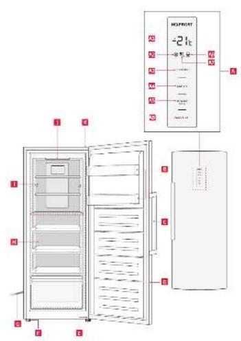 Koenic KFZ 621 D NF IN - KOENIC - 3