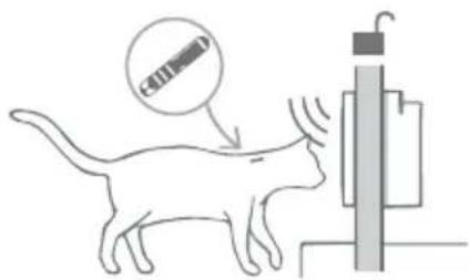 Sure Petcare SureFlap Connect Microchip XL - Voor katten die naar buiten mogen - 2