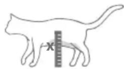 Sure Petcare SureFlap Connect Microchip XL - Step-by-step guide - 2