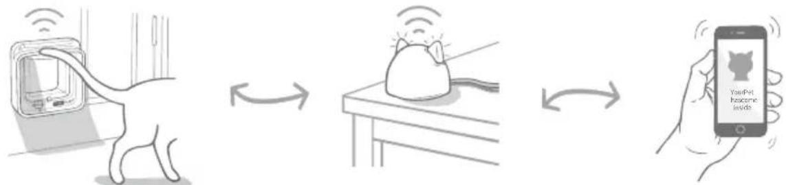 Sure Petcare SureFlap Connect Microchip XL - Microchip Cat Flap Connect system - 1