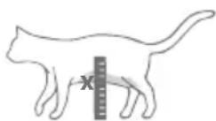 Sure Petcare SureFlap Connect Microchip XL - Schrittweise Anleitung - 2