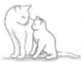 Sure Petcare SureFlap Connect Microchip XL - PLEASE READ THE FOLLOWING INFORMATION CAREFULLY AND RETAIN THIS MANUAL FOR FUTURE REFERENCE. - 1