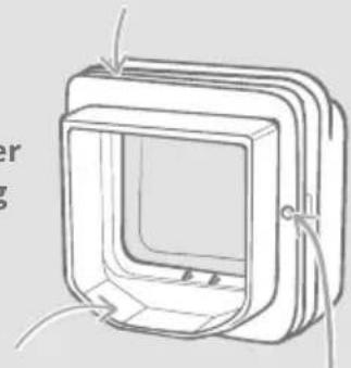 Sure Petcare SureFlap Connect Microchip XL - Grüne Ohren - 1