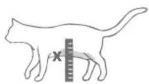 Sure Petcare SureFlap Connect Microchip XL - Schrittweise Anleitung - 3