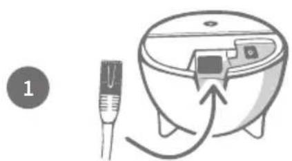 Sure Petcare SureFlap Connect Microchip XL - Een Sure Petcare Hub aanschaffen - 2