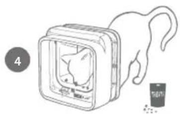 Sure Petcare SureFlap Connect Microchip XL - Adding a cat with outdoor access - 6