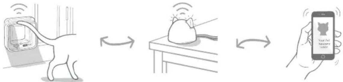 Sure Petcare SureFlap Connect Microchip XL - Microchip Kattenluik Connect systeem - 1