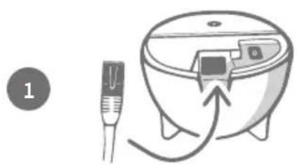 Sure Petcare SureFlap Connect Microchip XL - Kauf eines Sure Petcare Hubs - 2