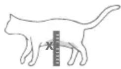 Sure Petcare SureFlap Connect Microchip XL - Stap-voor-stap handleiding - 3