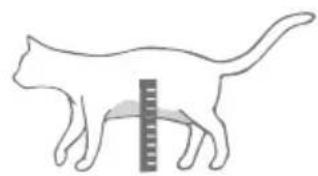 Sure Petcare SureFlap Connect Microchip XL - Schrittweise Anleitung zum Ausschneiden der Öffnung aus dem Glas - 4