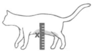 Sure Petcare SureFlap Connect Microchip XL - Stap-voor-stap handleiding - 3