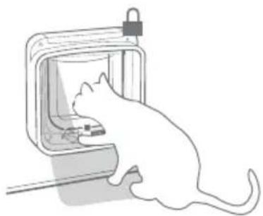 Sure Petcare SureFlap Connect Microchip XL - Für Wohnungskatzen - 1