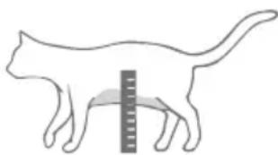 Sure Petcare SureFlap Connect Microchip XL - Stap-voor-stap handleiding voor het maken van de opening in glas - 4
