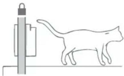 Sure Petcare SureFlap Connect Microchip XL - Normal operation whether connected or not - 5