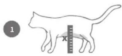 Sure Petcare SureFlap Connect Microchip XL - Before you begin, have you added all of your pets? If not, see page 9. - 1