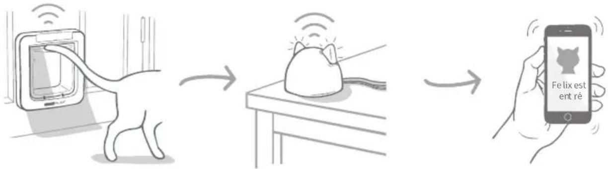 Sure Petcare SureFlap Connect Microchip - Still in need of assistance? - 4