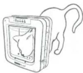 Sure Petcare SureFlap Connect Microchip - Wir empfehlen dringend, alle Haustiere in die Haustierklappe einzuprogrammieren, bevor Sie diese einbauen. - 4