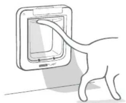 Sure Petcare SureFlap Connect Microchip - Normalbetrieb - 3