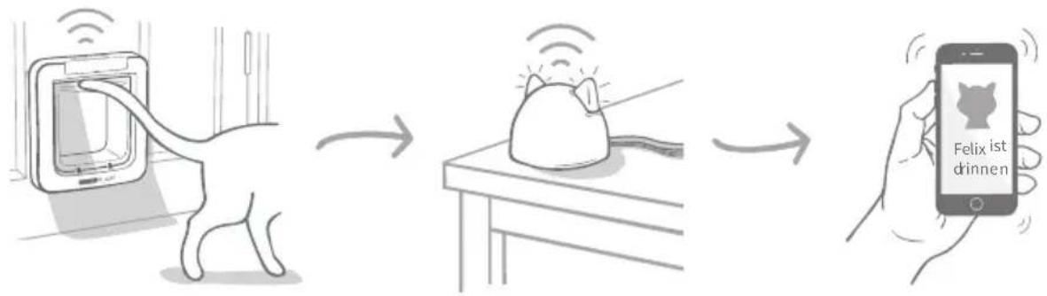 Sure Petcare SureFlap Connect Microchip - Sonstige wichtige Aspekte - 6