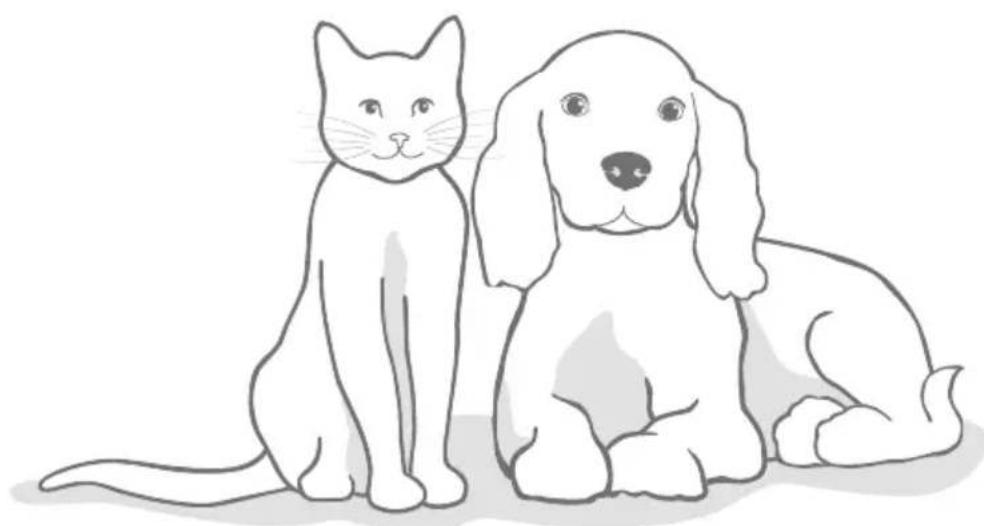 Sure Petcare SureFlap Connect Microchip - Uw hubplaatsen - 4