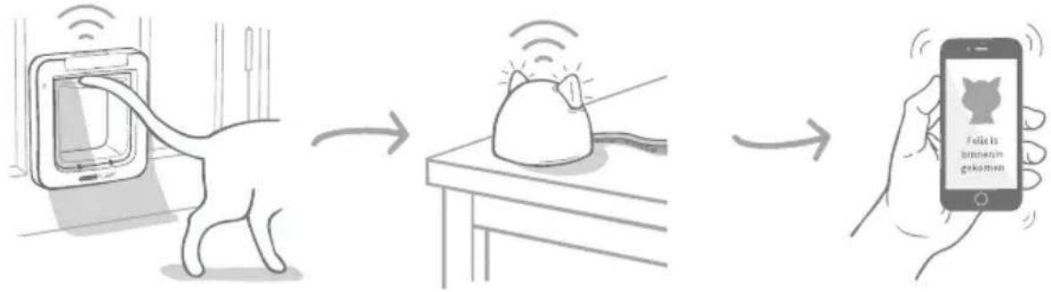 Sure Petcare SureFlap Connect Microchip - Andere belangrijke dingen om rekening mee te houden - 6