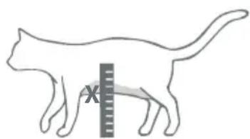 Sure Petcare SureFlap Connect Microchip - Step-by-step guide - 3