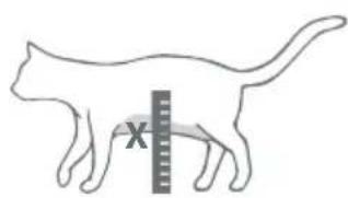 Sure Petcare SureFlap Connect Microchip - Step-by-step guide - 2