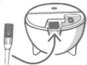 Sure Petcare SureFlap Connect Microchip - Plug in and setup - 1