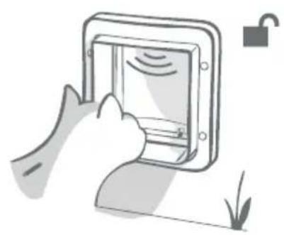Sure Petcare SureFlap Connect Microchip - Normalbetrieb - 2